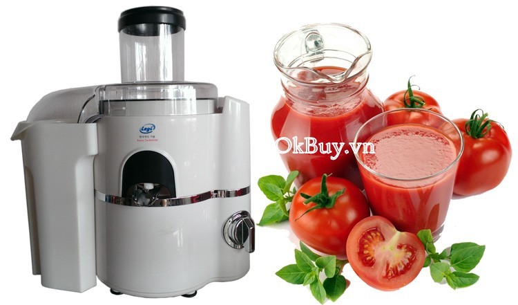 Máy xay đa năng Legi LG-505MX/ 450W