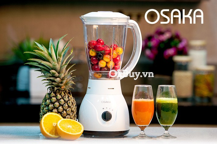 Máy xay đa năng Osaka BL-799/ 550W