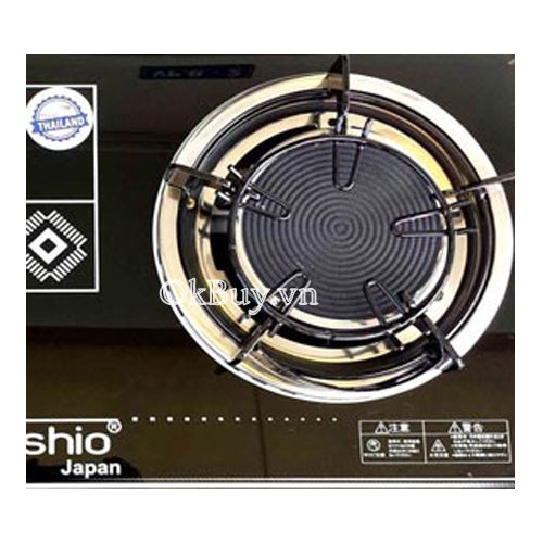 bếp ga đôi âm Nishio NS 069