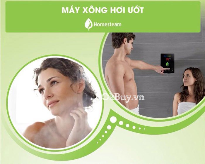 máy xông hơi công nghiệp HomeSteam MA-900HS