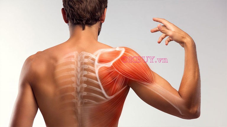 Đau bả vai do nhiều nguyên nhân gây ra