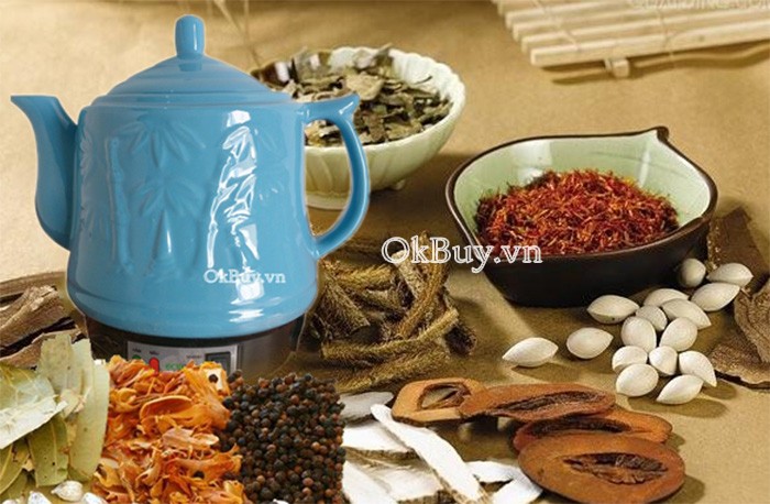 Ấm sắc thuốc điện tự động Ecotek_1
