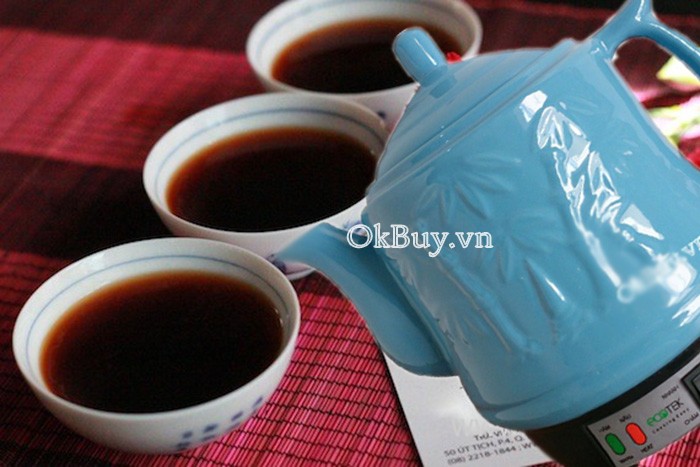 Ấm sắc thuốc điện Ecotek_2