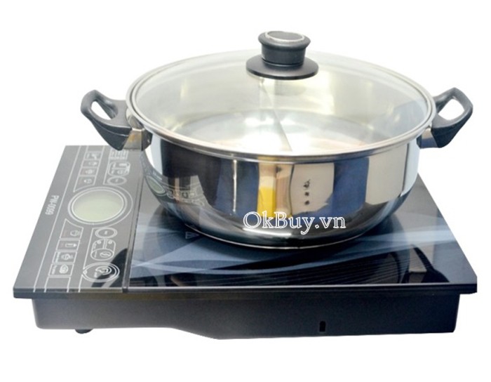 bếp điện từ panworld pw-0099-1