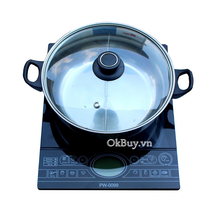 bếp điện từ panworld pw-0099