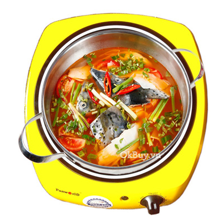Bếp Panworld PW-057