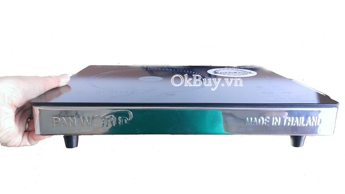 bếp hồng ngoại panworld pw-059