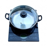 Bếp điện từ Thái Lan Panworld PW-0099