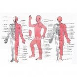 Máy massage xung điện SYK-208