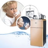 Cây nước nóng lạnh Fujie WD3000E