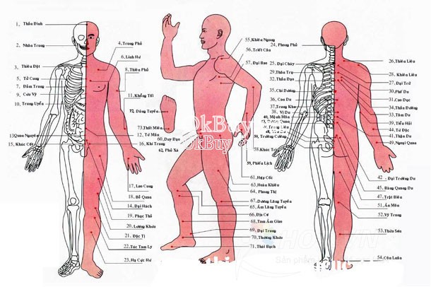 SYK208_3