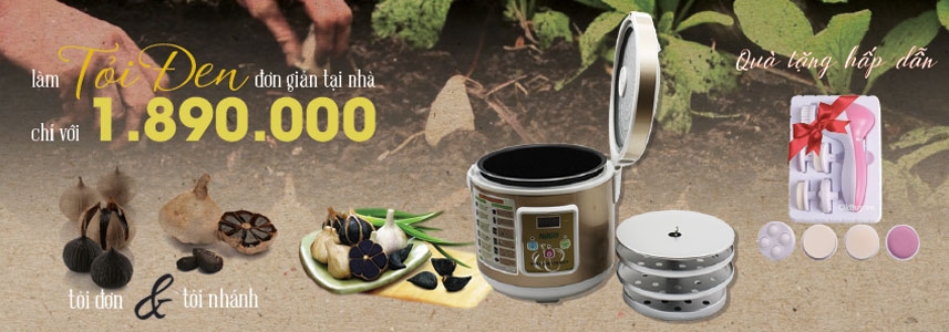 máy làm tỏi đen